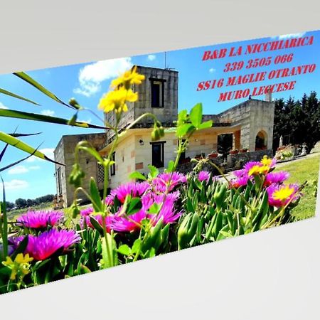 B&B La Nicchiarica Muro Leccese Bagian luar foto