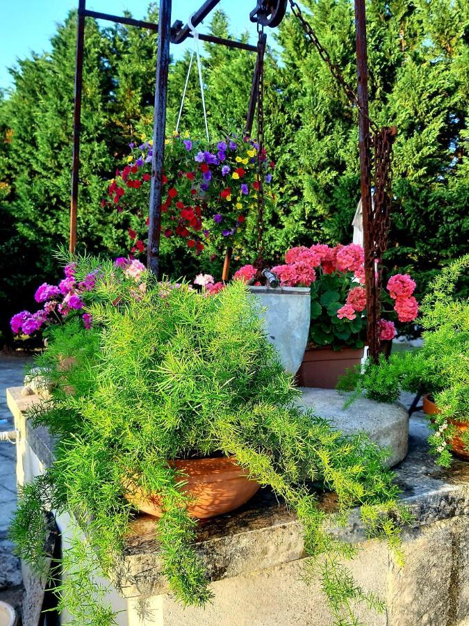 B&B La Nicchiarica Muro Leccese Bagian luar foto